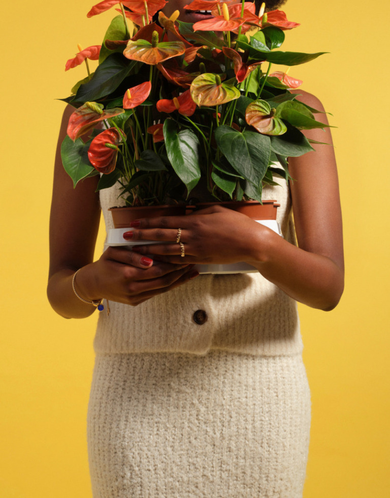 Pandora AW24  – featured image